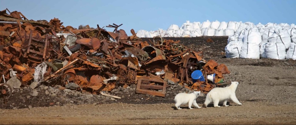 27: Pollution- Chernobyl, noise and heavy&nbsp;metals