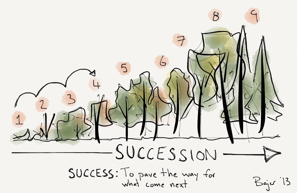 44: Succession- from rock to&nbsp;forest